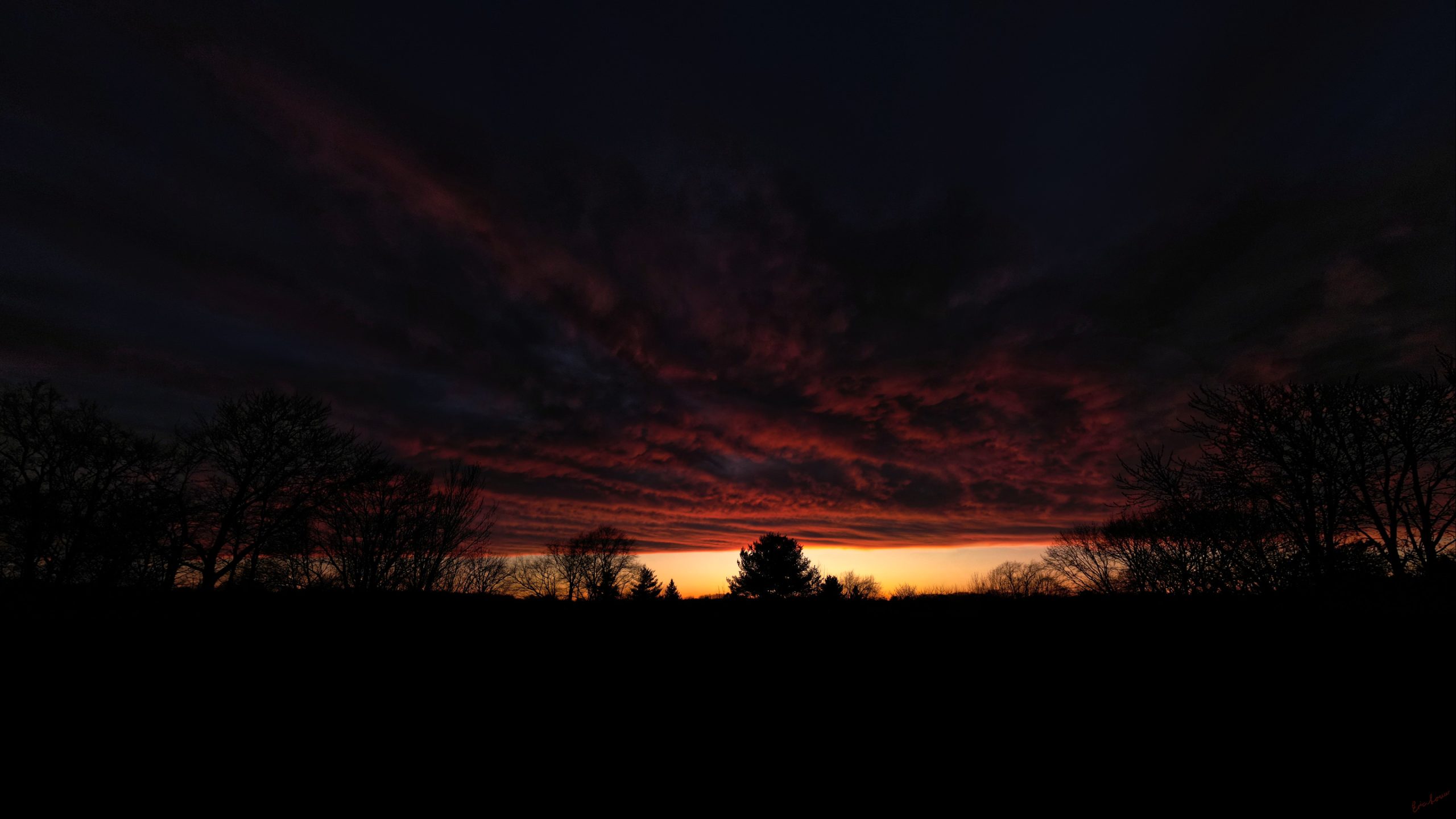 A deep red Michigan sunset glowing behind silhouetted treetops, photographed from a drone by Eric Louw